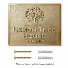 Personalized Brass House Number Plaque shown with matching screws and wall anchors on a clean background.