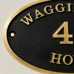 Elegant oval brass door plaque with custom house number