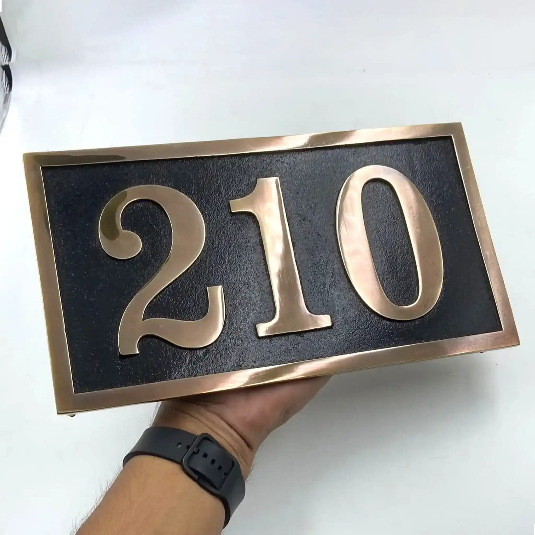 House number sign '210'—brass address plaques held by a person on a white background