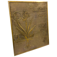 Brass Designer Plaque Plate BLP01