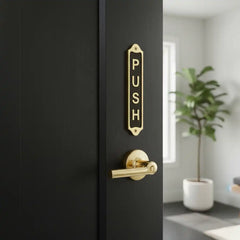 Black door with gold 'PUSH' handle and lever, interior background