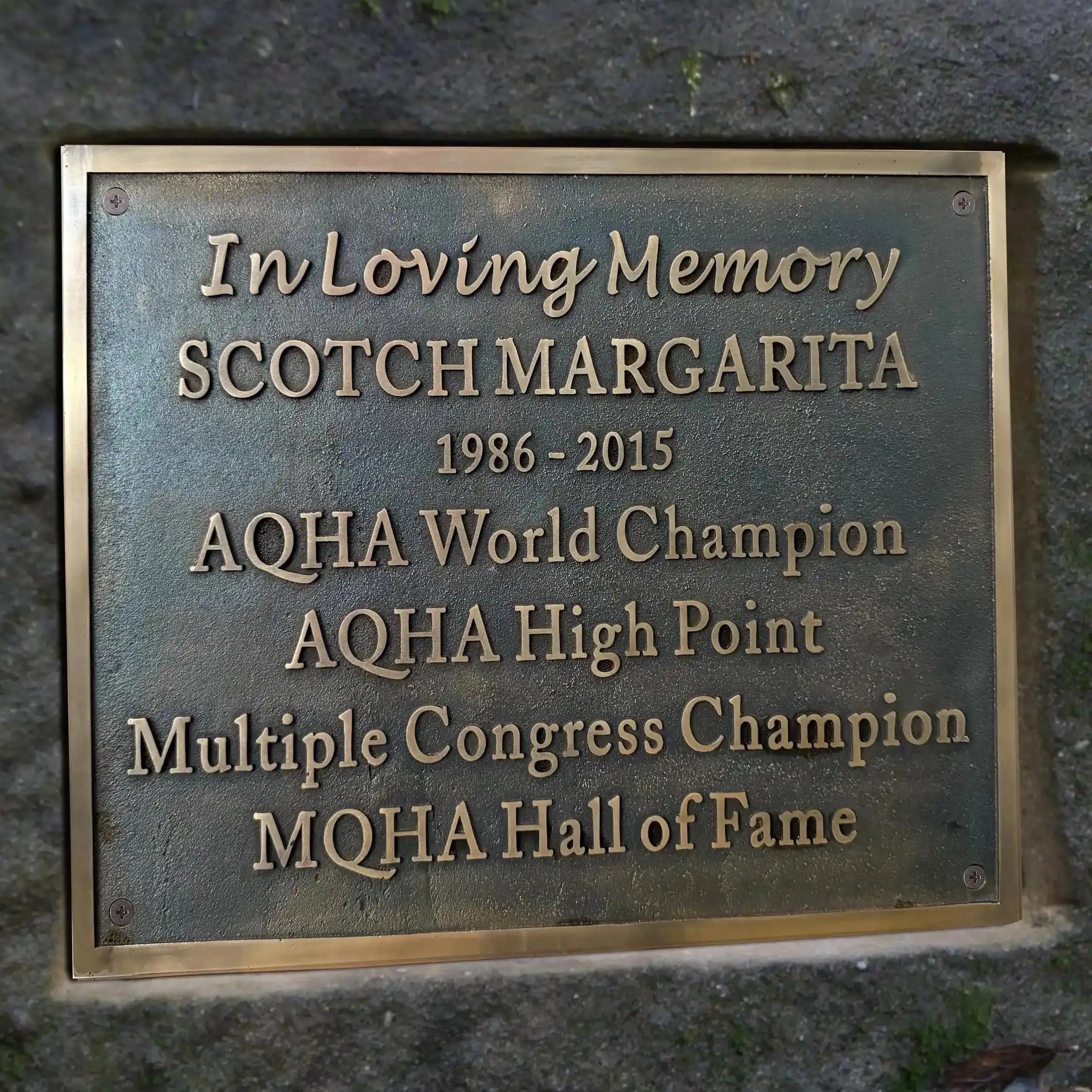 Memorial plaque for 'Scotch Margarita' on a stone wall. bronze tribute plaque